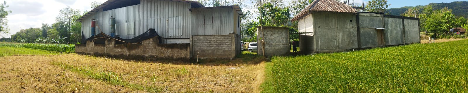 Foto Utama